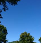 Thumbnail of post image 138