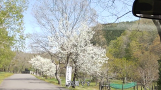 Thumbnail of post image 031